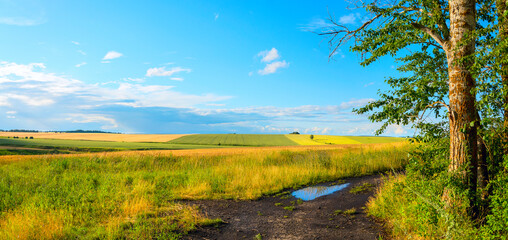 Obraz premium Rural scene with fields and dirt road