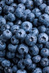 freshly picked washed blueberry background. Macro. vertical, top view