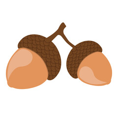 Acorn, oak nut, seed. Made in cartoon flat style. Vector illustration © clelia-clelia