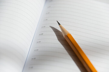 The pencil is on the open diary