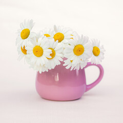 Bouquet of delicate white daisies in a beautiful pink cup.
