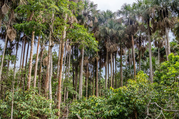 Fototapeta premium landscapes from the mountains and roads to villavicencio meta