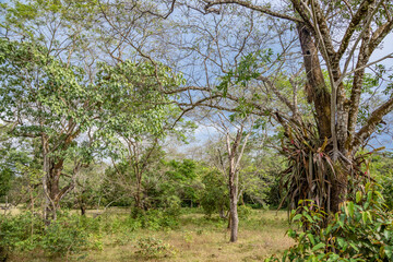 landscapes from the mountains and roads to villavicencio meta