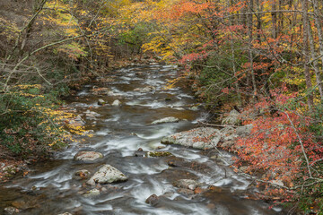 Autumn rapids on the Little River framed by foliage, Tremont Area, Great Smoky Mountains National Park, Tennessee, USA