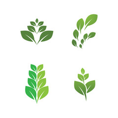 Logos of green leaf ecology nature element vector