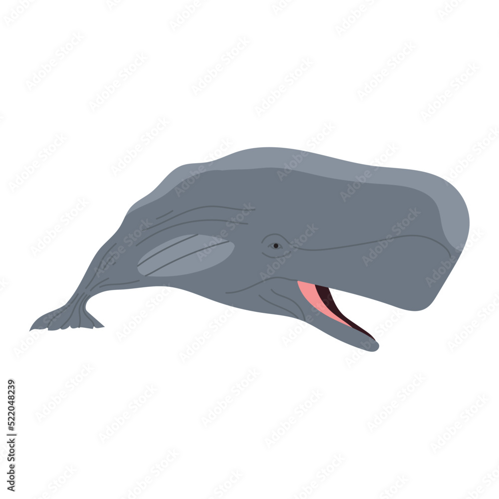 Poster sperm whale animal