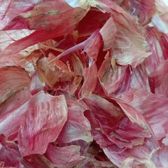pile of onion peels on the table