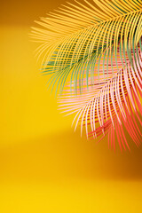 Fototapeta na wymiar Palm leaf on a yellow background. - Summer concept..