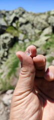 Hand and quartz
