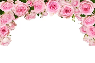 Foto op Canvas Pink rose flowers in a top border arrangement isolated on white © Ortis