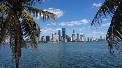 Miami skyline with palms in the foreground