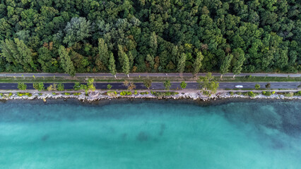 lake in the park