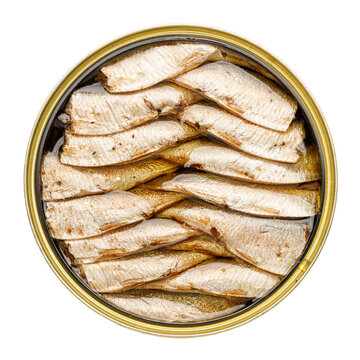 Smoked sprats in oil, canned seafood on a white background.
