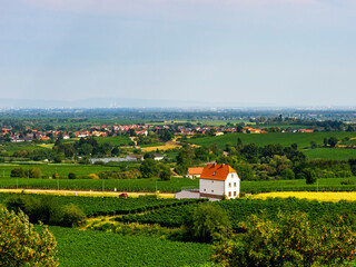 Fototapeta na wymiar Schönes Haus mit malerischer Landschaft, Weinbergen, wie Toskana, in der Pfalz