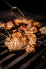 grilled meat/chicken on the grill