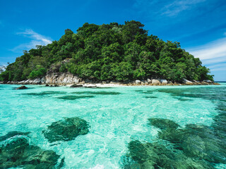 Scenic view of Koh Dong Island breathtaking crystal clear turquoise sea water with coral reef transparent against summer blue sky. Near Koh Lipe Island, Tarutao National Marine Park, Satun, Thailand.