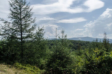 Bieszczady panorama 