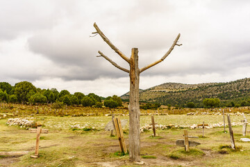Sad Hill Cemetery in Spain. Tourist place