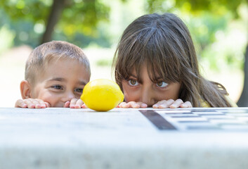 girl and boy watching juicy lemon in the garden