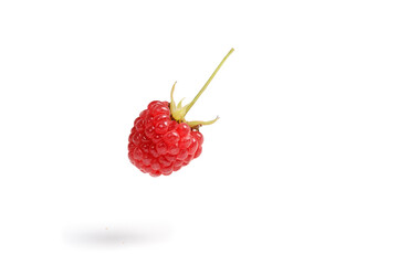 Raspberry berry isolated on white background. One Raspberry with clipping path.