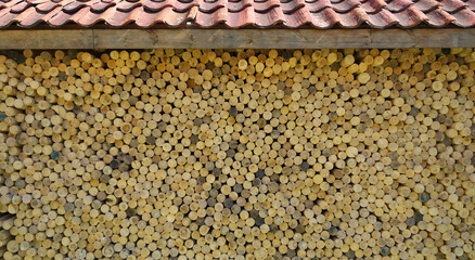 Stock of firewood under a canopy. Round woodworking waste.