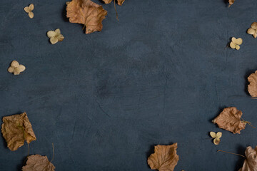 Dried autumn or winter leaves on dark textured concrete background with copy space