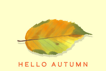 水彩の手描きの秋の葉のデザインバナー
クローズアップ