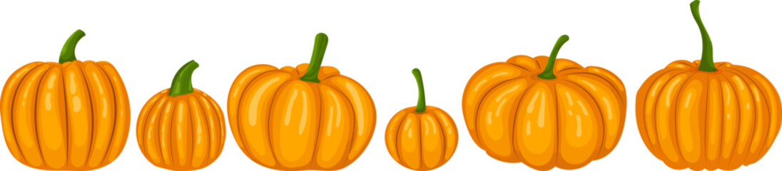 pumpkin collection in flat style, isolated, vector