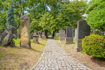 The main cemetery alley in the old Jewish cemetery in Wrocław. - obrazy, fototapety, plakaty