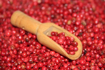 Pink pepper (Schinus terbinthifolia). In a wooden measuring spoon, isolated on a blurred background. Selective focus. Also known as: Aroeira-Red, Aroeira-pimenteira or Poivre-rosa.