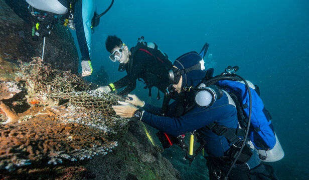 divers cleaning up fishing net from a coral in the Andaman Sea
