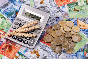 Ripe ears of wheat, calculator and Kazakh currency - tenge