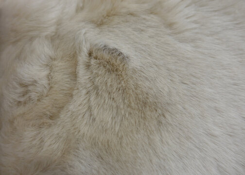 Soft White Faux Fur Background