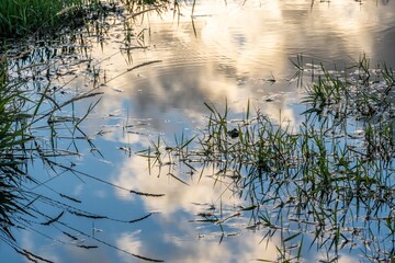 An overlooking view of nature in Portland, Oregon