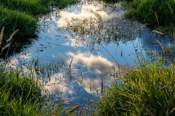 An overlooking view of nature in Portland, Oregon