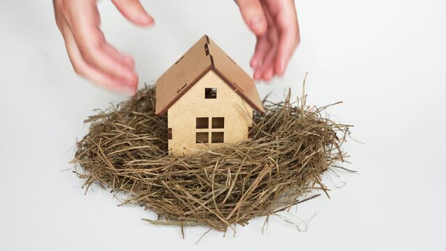 Hands placing a small wooden house in a bird's nest