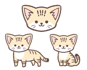スナネコのバリエーションセット