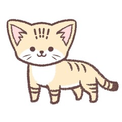 スナネコの立ちポーズ