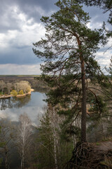 Pine tree growing on cliff of Siverskyi Donets river. Sunny spring Cossack mountain scenic view with gray cloudy sky, Ukraine