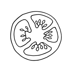tomato in doodle style