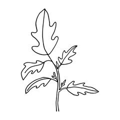 plant tomato in doodle style