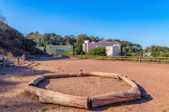 There Are Tree Trunks Forming A Circle On A Dirt Ground At Corona Heights Park, San Francisco, CA