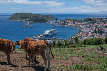 View over Horta, there is a cruise ship in the harbour / View over the city of Horta on the island of Faial, a cruise ship is in the port, Azores, Portugal.