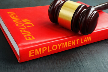 The book employment law and the gavel on it. - obrazy, fototapety, plakaty