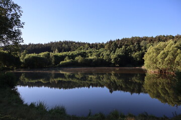 reflection of trees in water