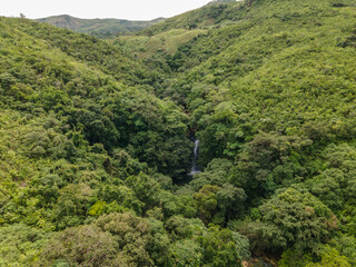 Recurso h&iacute;dricos y flora monta&ntilde;a de Veraguas 
