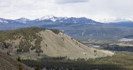 Trees, Land and Mountains in American Landscape. Spring Season. Grand Teton National Park. Wyoming, United States. Nature Background.