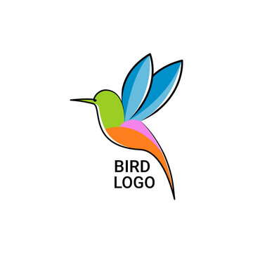 Modern colorful hummingbird logo vector