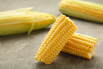 Fresh corn on cobs on grey background.