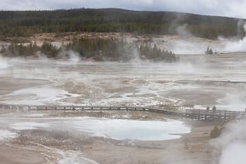Hot spring Geyser with colorful water in American Landscape. Yellowstone National Park, Wyoming, United States. Nature Background.